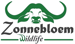 Zonnebloem